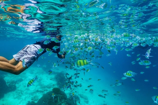 Person snorklar i Thailand.